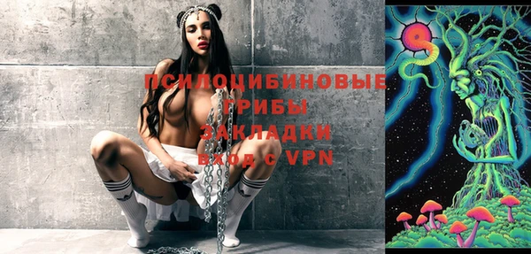 прущая мука Козловка
